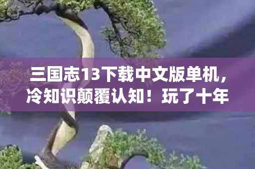 玩了十年三国志13pk破解版的我目瞪口呆图片