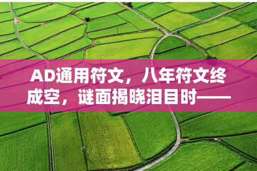 八年符文终成空图片