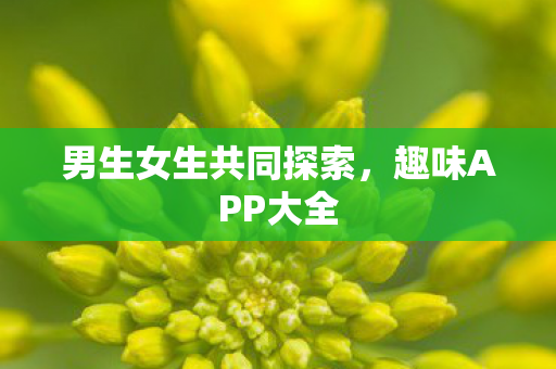 男生女生共同探索,趣味APP大全 男生女生共同探索,趣味APP大全