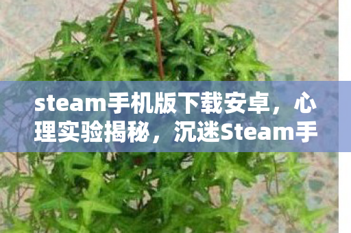 沉迷Steam手机版下载的细思极恐自我麻醉之旅图片