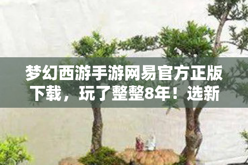 梦幻西游手游网易官方正版下载图片