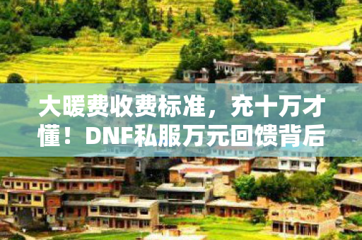 DNF私服万元回馈背后图片
