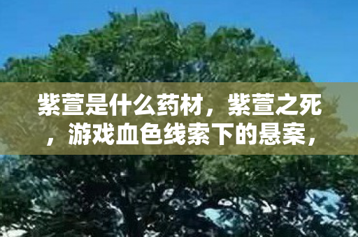 游戏血色线索下的悬案图片