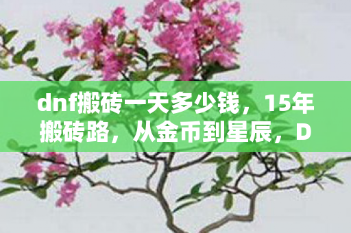 dnf搬砖一天多少钱图片