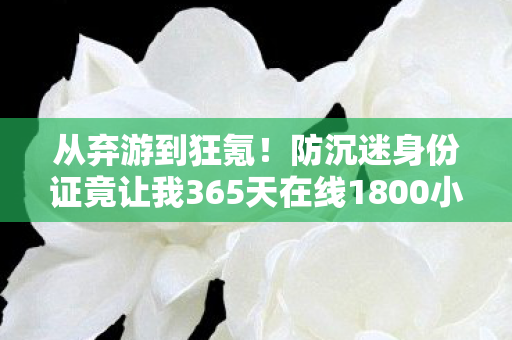 防沉迷身份证竟让我365天在线1800小时图片