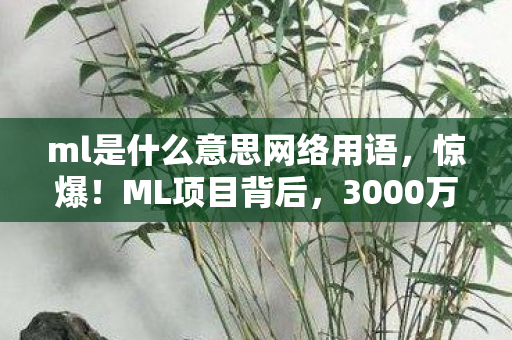 ml是什么意思网络用语图片