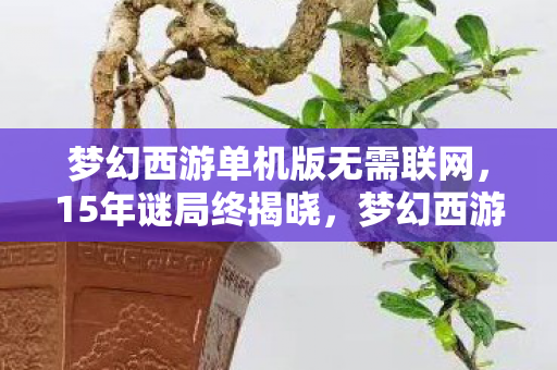 梦幻西游单机版为何让百万玩家泪目图片
