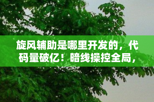 这操作让人头皮发麻的旋风辅助图片