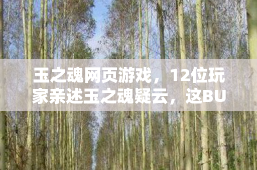 12位玩家亲述玉之魂疑云图片