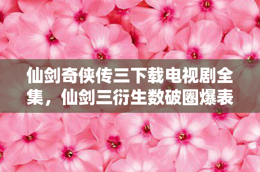 败家玩家用周边堆出意想不到人生图片