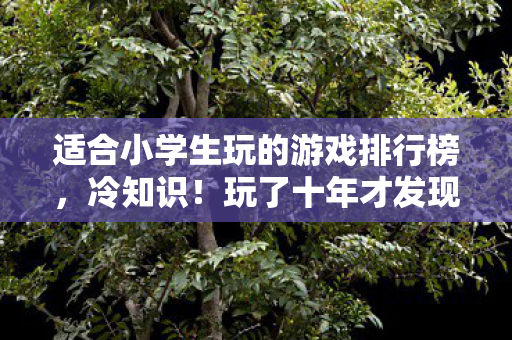 玩了十年才发现这些游戏设定颠覆认知图片