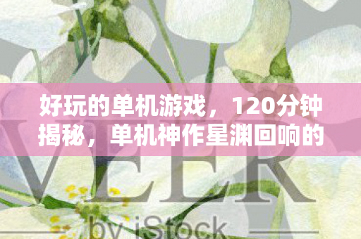 单机神作星渊回响的诞生与消亡图片