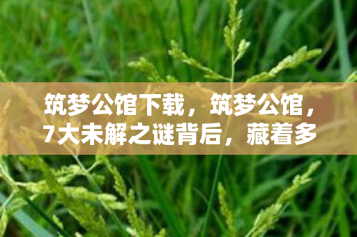藏着多少玩家未曾察觉的真相图片