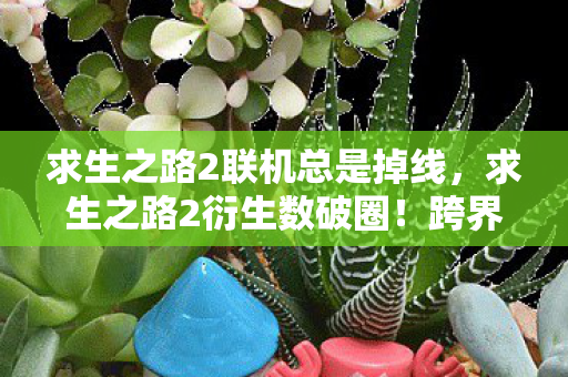 求生之路2联机总是掉线图片