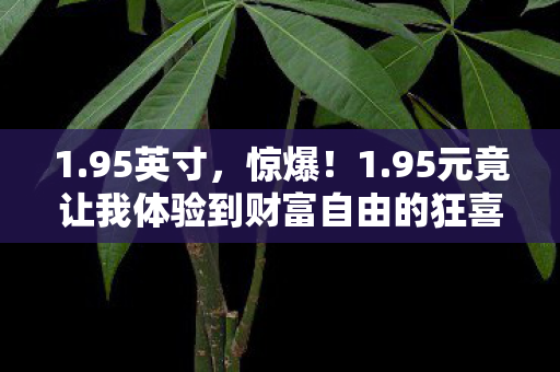 95元竟让我体验到财富自由的狂喜图片
