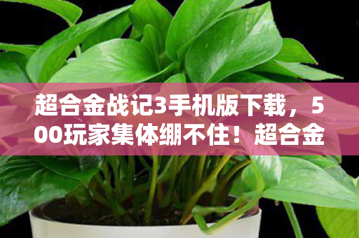 超合金战记3新版本疑点大起底图片