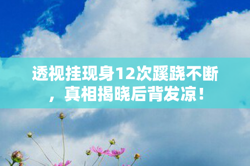 透视挂现身12次蹊跷不断图片