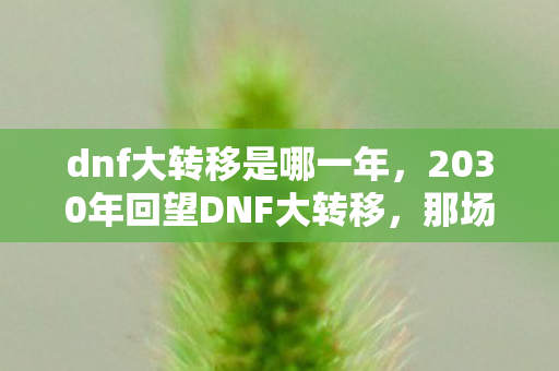 2030年回望DNF大转移图片