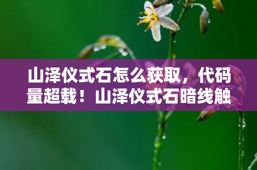 当NPC开始头皮发麻地教我生存法则图片