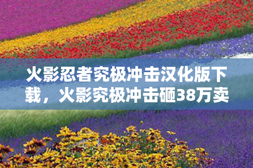 火影究极冲击砸38万卖房充值图片