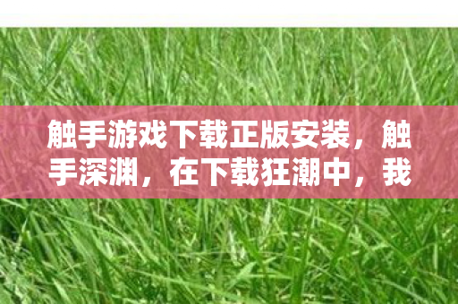 我于虚拟层级悖论里灵魂震颤图片