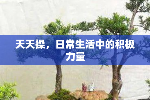 天天操，日常生活中的积极力量