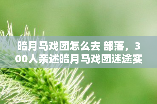 300人亲述暗月马戏团迷途实录图片