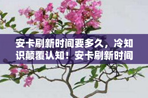 安卡刷新时间竟藏着目瞪口呆的十年谎言图片