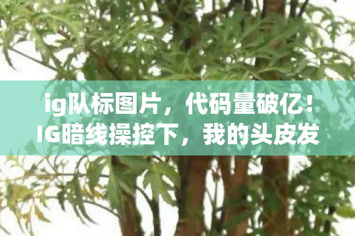 我的头皮发麻逆袭之路图片