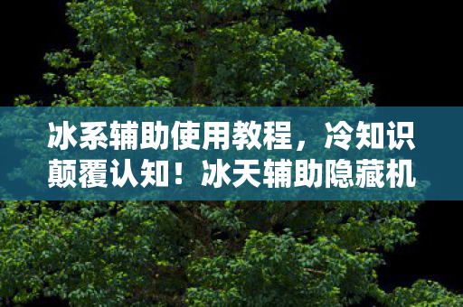 冰天辅助隐藏机制曝光图片