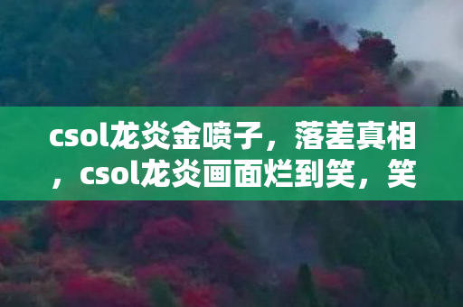 csol龙炎画面烂到笑图片
