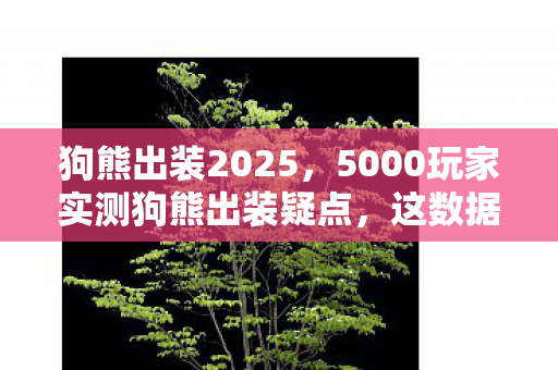 5000玩家实测狗熊出装疑点图片