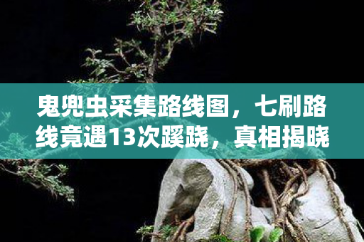 七刷路线竟遇13次蹊跷图片
