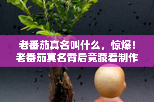 老番茄真名背后竟藏着制作组7大未解之谜图片