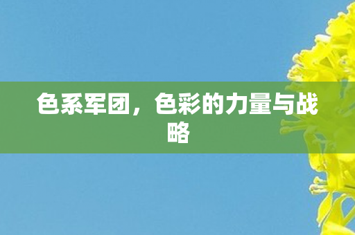 色系军团,色彩的力量与战略 色系军团,色彩的力量与战略