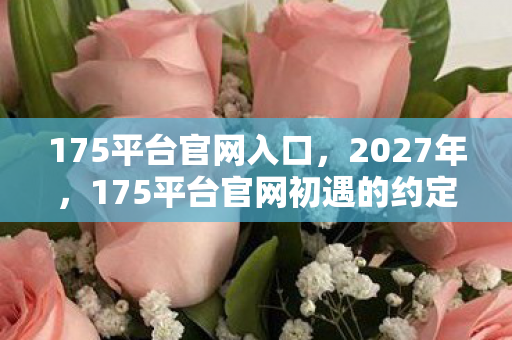 175平台官网初遇的约定图片
