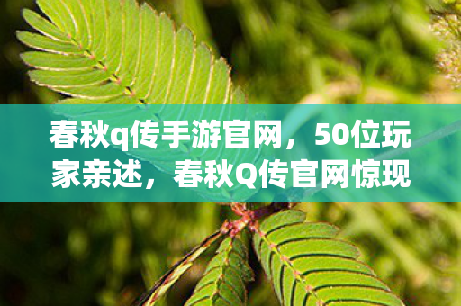春秋Q传官网惊现时空裂痕图片