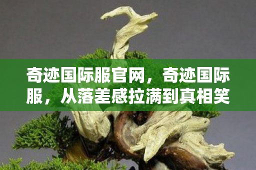 从落差感拉满到真相笑着笑着哭了图片