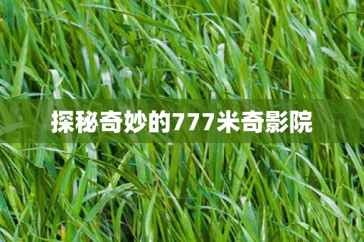 探秘奇妙的777米奇影院 探秘奇妙的777米奇影院