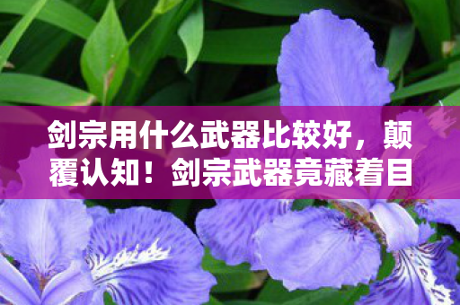 剑宗武器竟藏着目瞪口呆的冷知识图片
