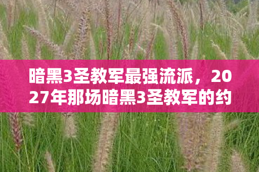 2027年那场暗黑3圣教军的约定图片