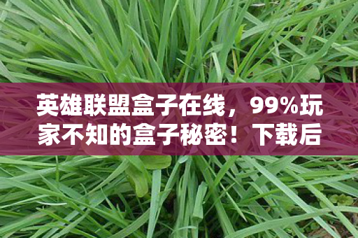 下载后竟藏着颠覆认知的终极真相图片