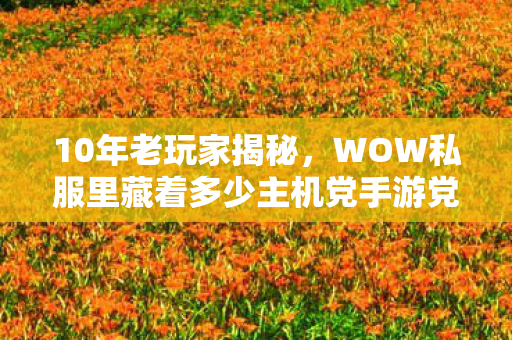 WOW私服里藏着多少主机党手游党的血泪史图片