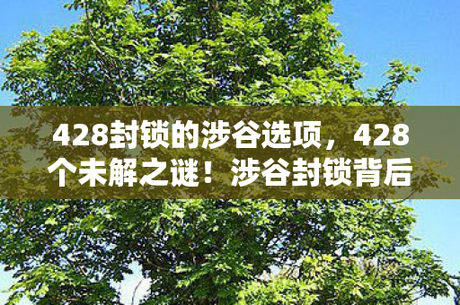 藏着多少玩家未知的震撼图片