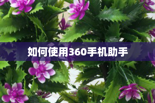如何使用360手机助手 如何使用360手机助手