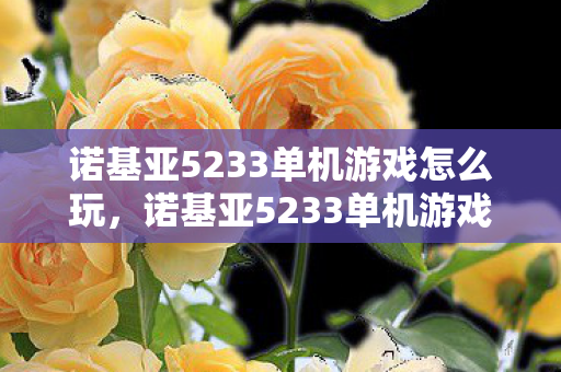 诺基亚5233单机游戏怎么玩图片