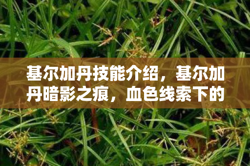 基尔加丹技能介绍图片