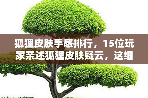 15位玩家亲述狐狸皮肤疑云图片