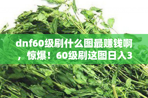 dnf60级刷什么图最赚钱啊，惊爆！60级刷这图日入300万金币，背后竟藏着策划不敢说的秘密！