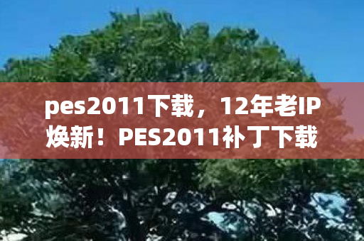 PES2011补丁下载量暴涨300图片